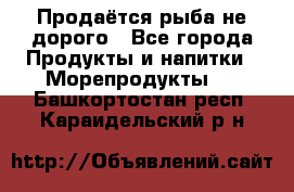 Продаётся рыба не дорого - Все города Продукты и напитки » Морепродукты   . Башкортостан респ.,Караидельский р-н